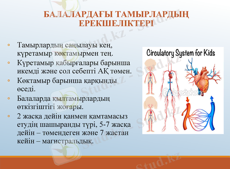 Slide 16