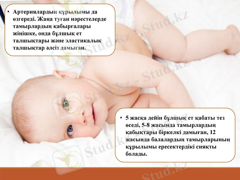 Slide 17