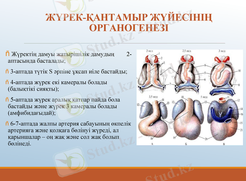 Slide 6