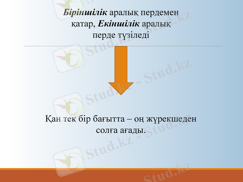 Slide 7