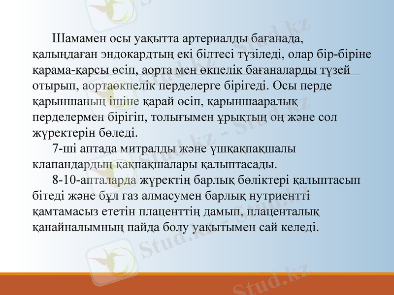 Slide 9