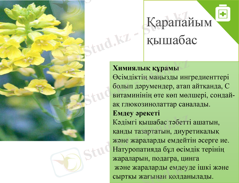 Slide 13