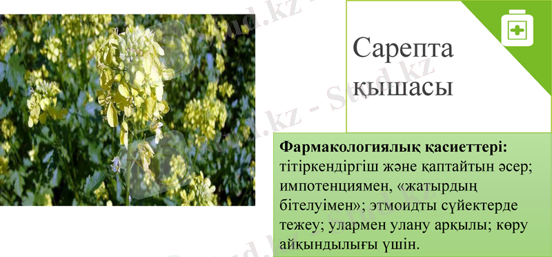 Slide 14