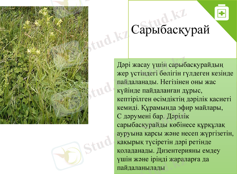 Slide 15