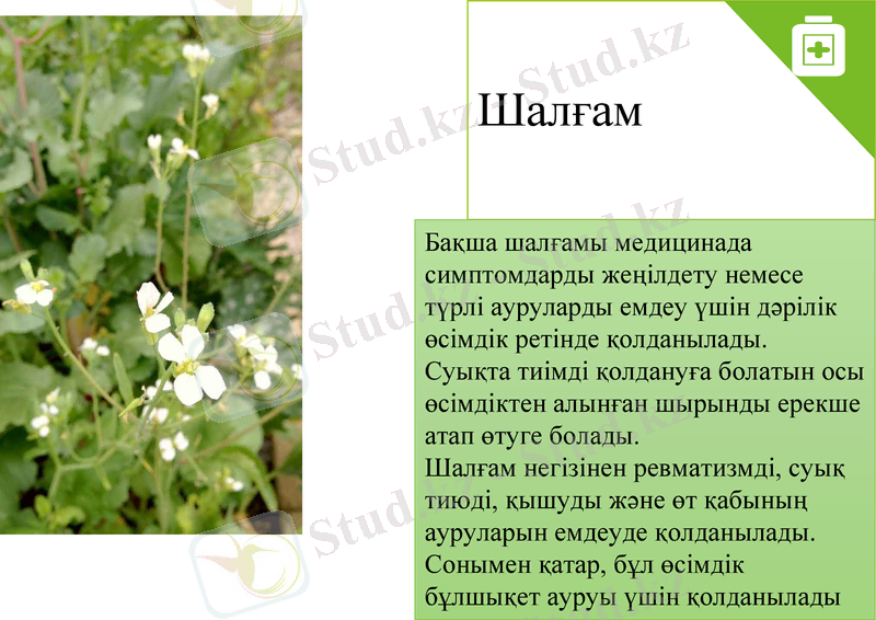 Slide 16