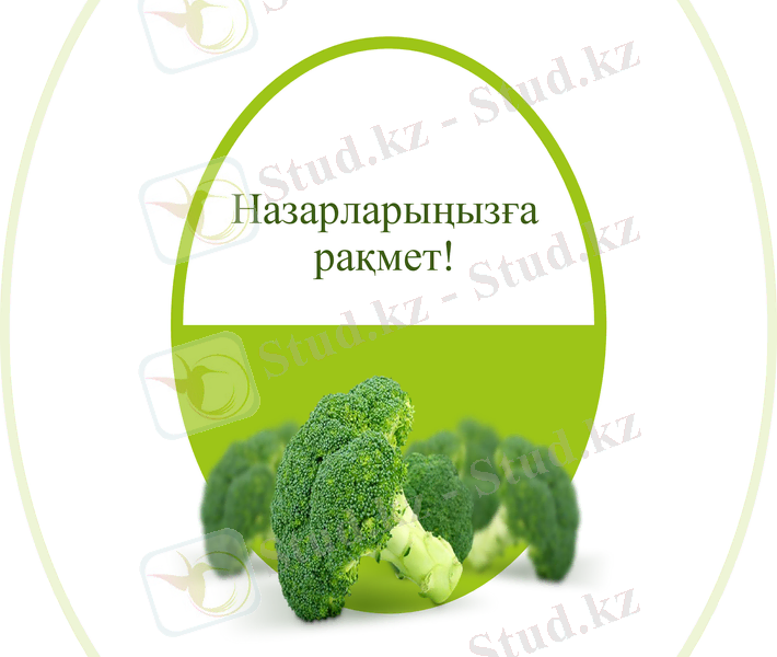 Slide 18