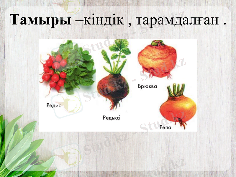 Slide 7