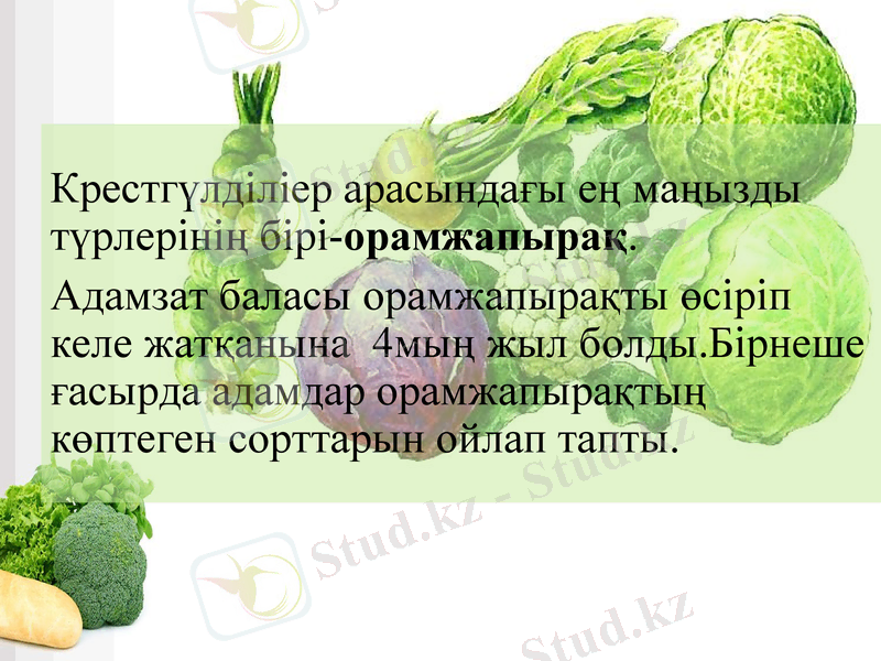 Slide 9