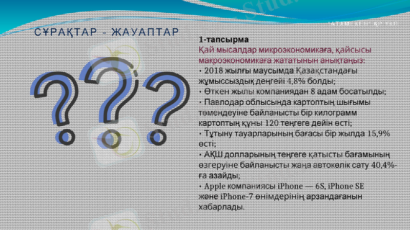 Slide 13