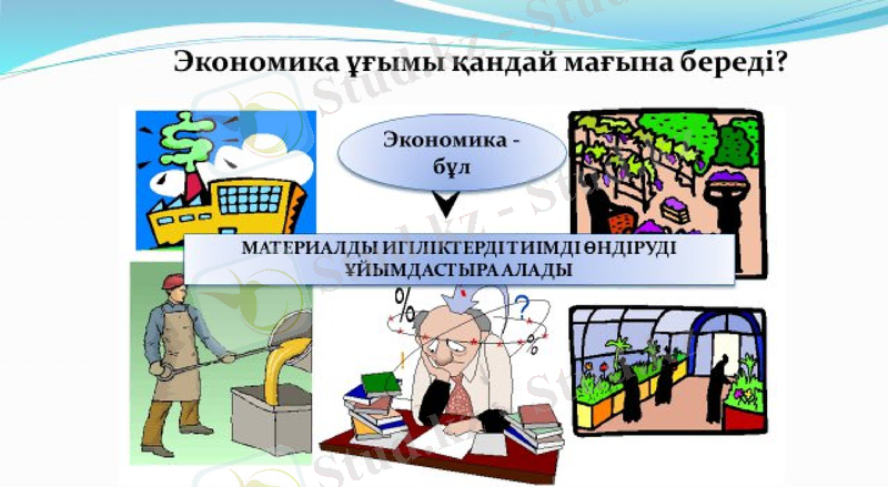 Slide 8