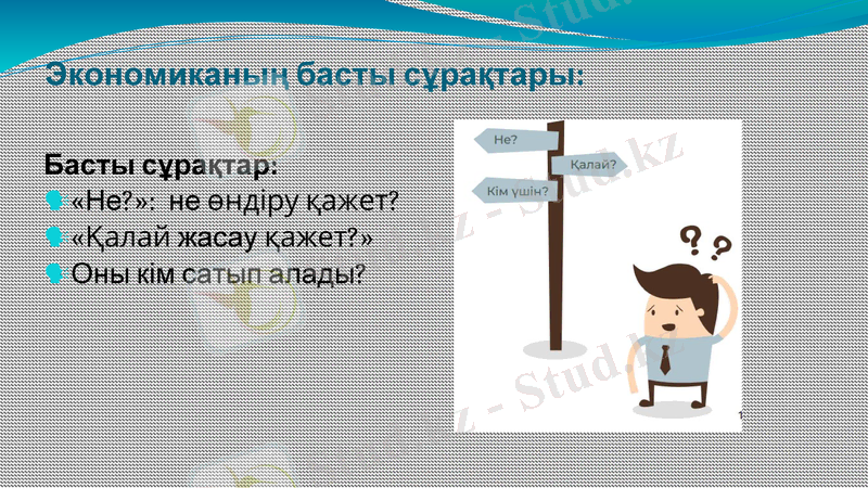 Slide 9