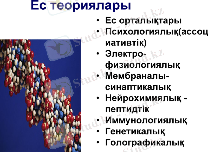 Slide 11