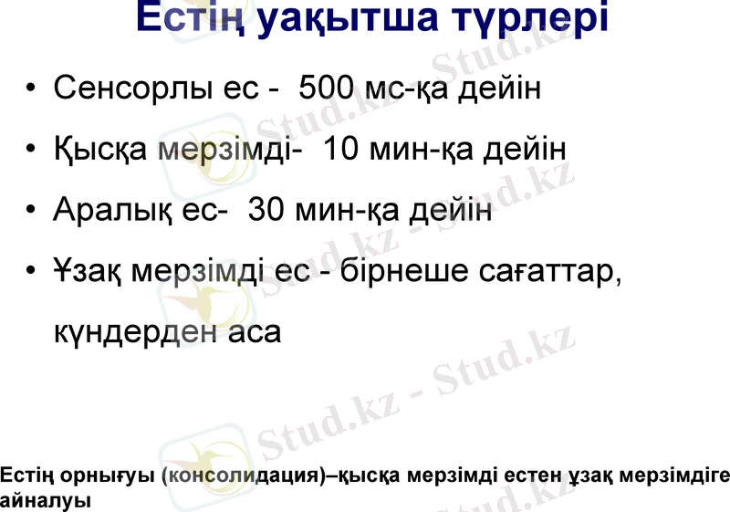 Slide 12