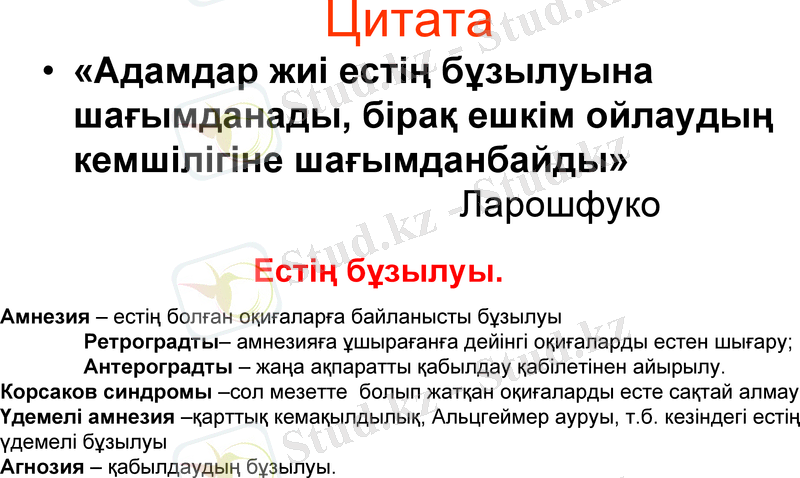 Slide 13