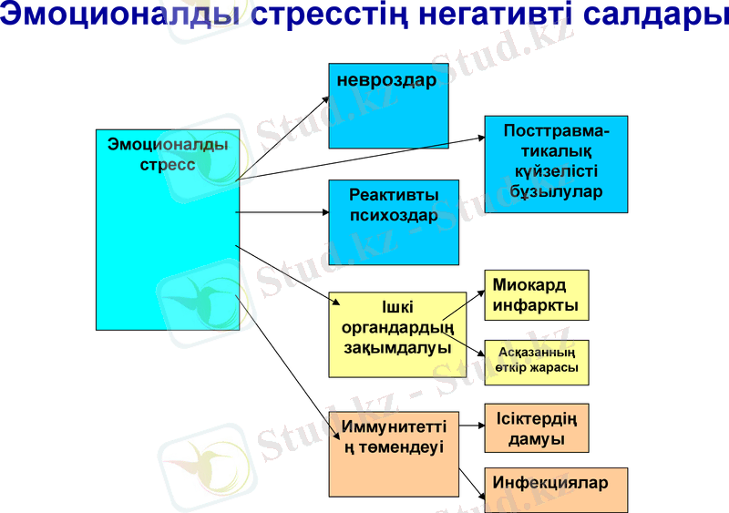 Slide 20