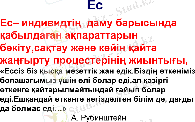 Slide 8