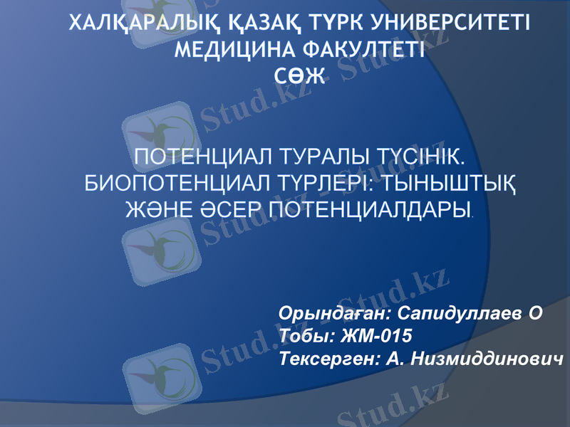 Slide 1