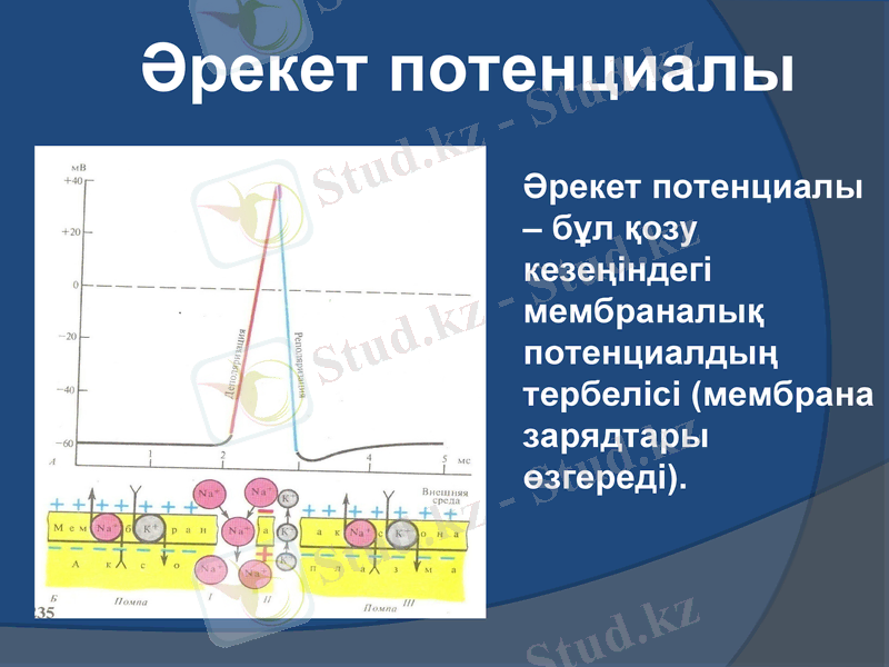Slide 10