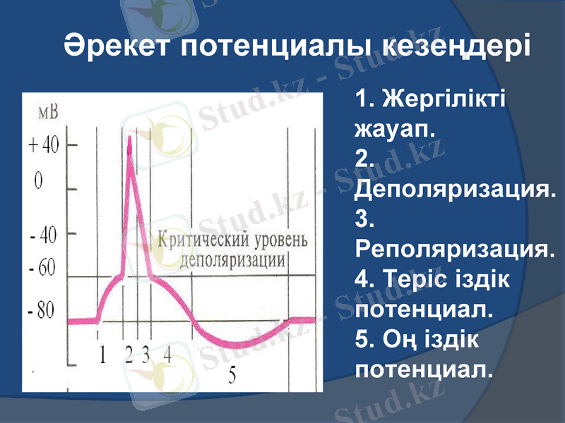 Slide 11
