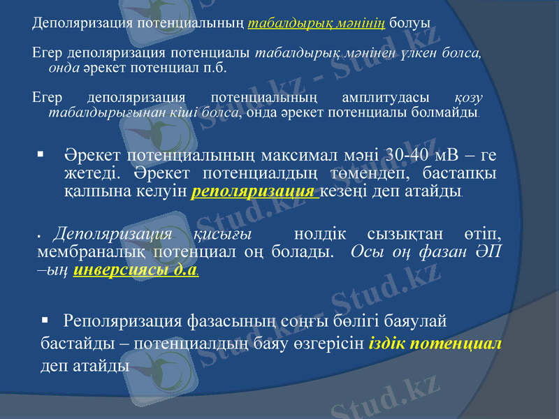 Slide 12