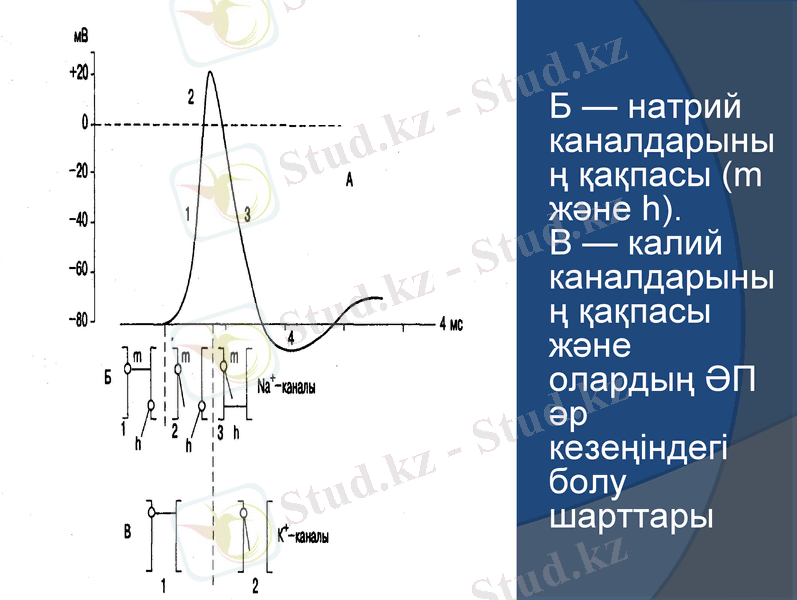 Slide 15