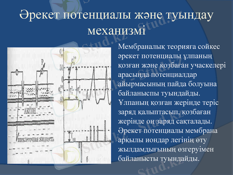 Slide 16