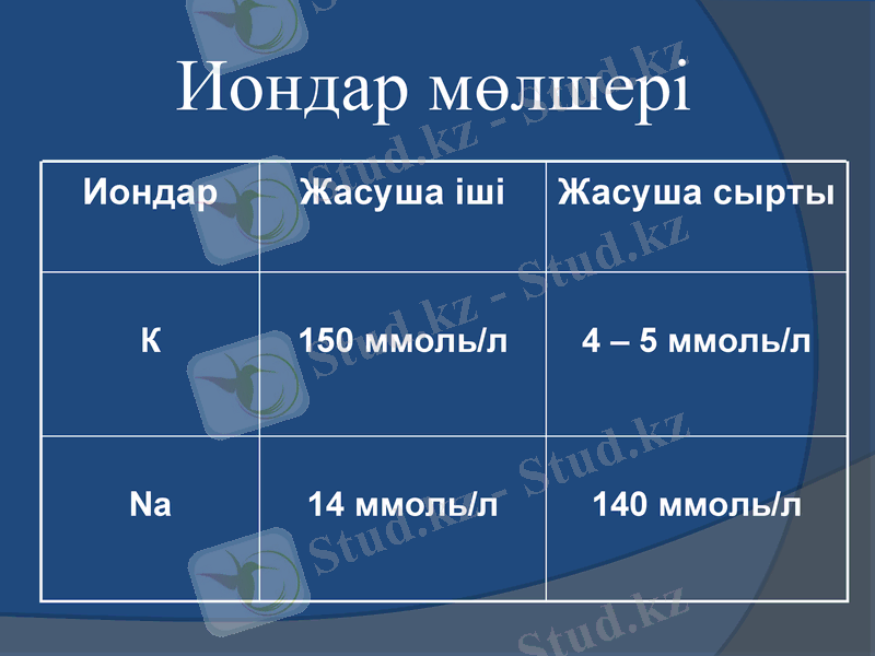 Slide 6