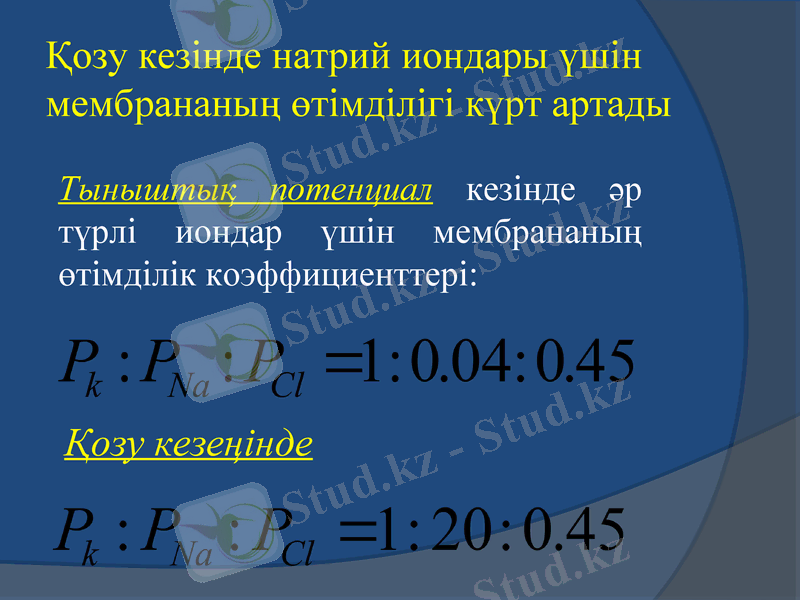 Slide 7