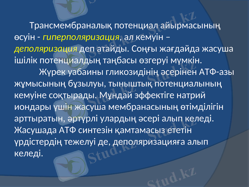 Slide 9