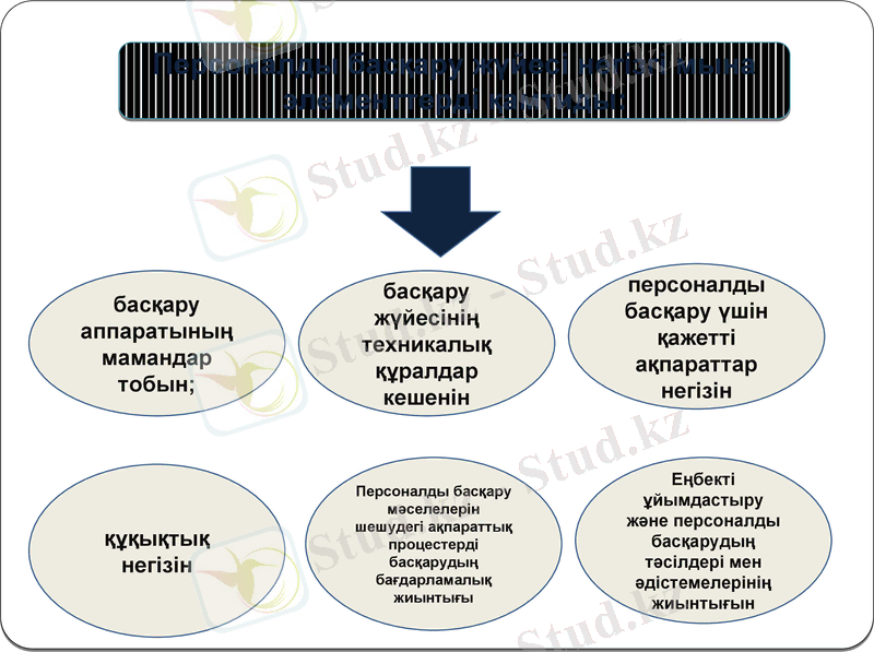 Slide 6