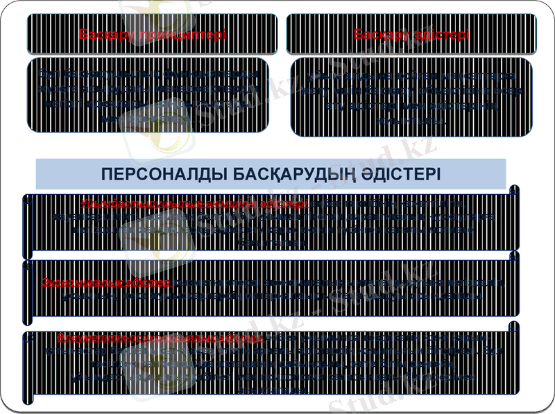 Slide 7