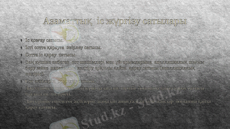 Slide 6