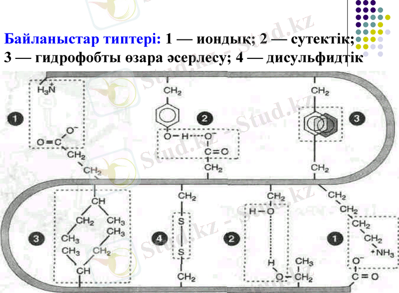 Slide 10