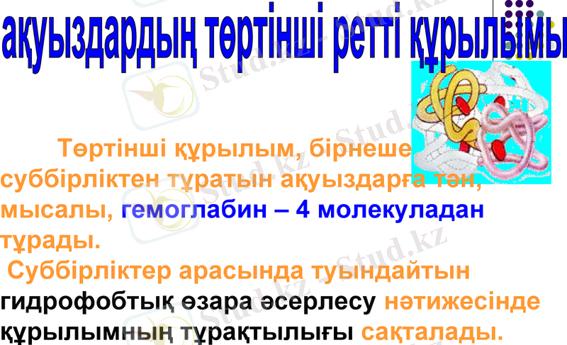 Slide 11