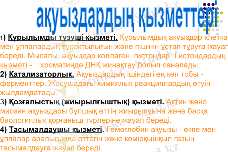 Slide 13