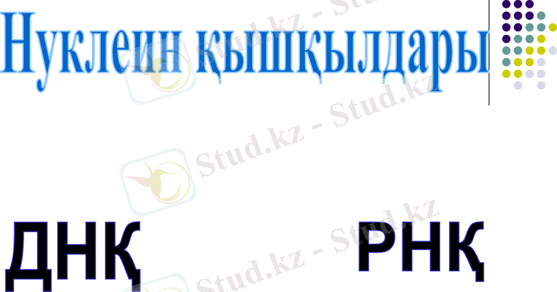Slide 18