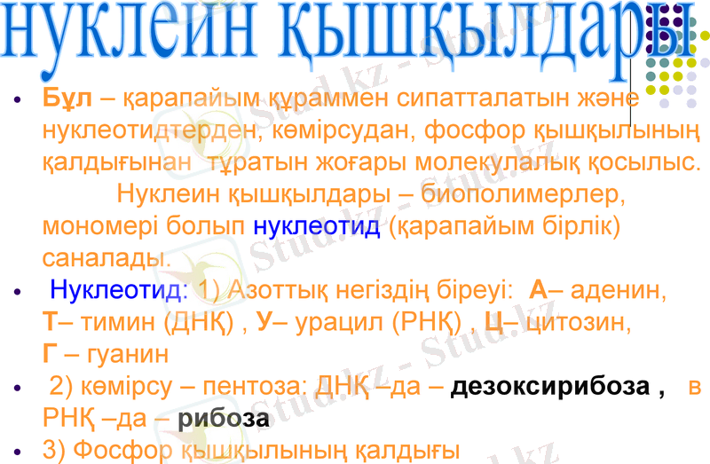 Slide 19