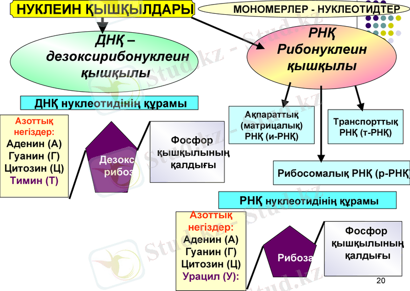Slide 20