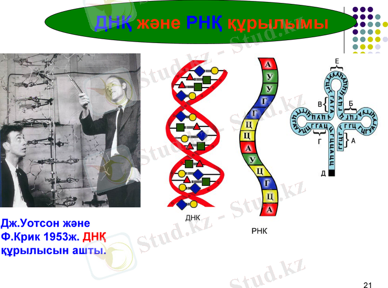 Slide 21