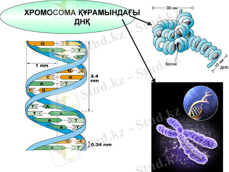 Slide 23