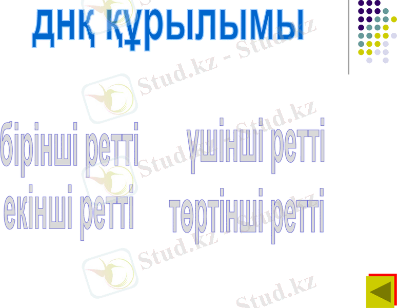 Slide 24