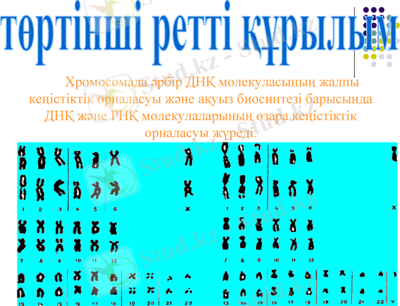 Slide 28