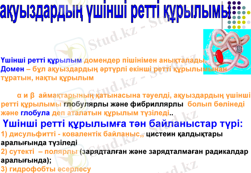 Slide 9