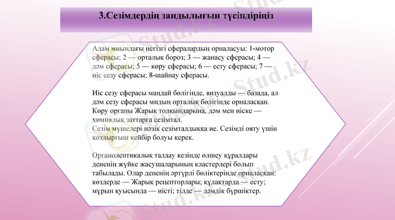Slide 11