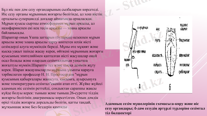 Slide 12