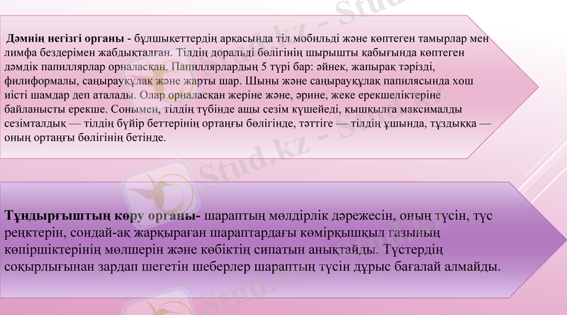 Slide 13