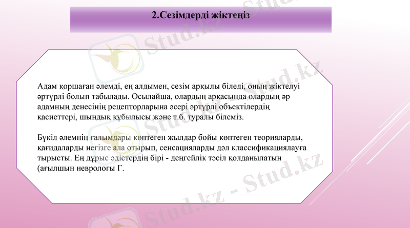 Slide 7