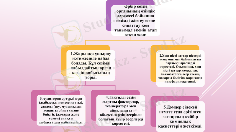 Slide 9
