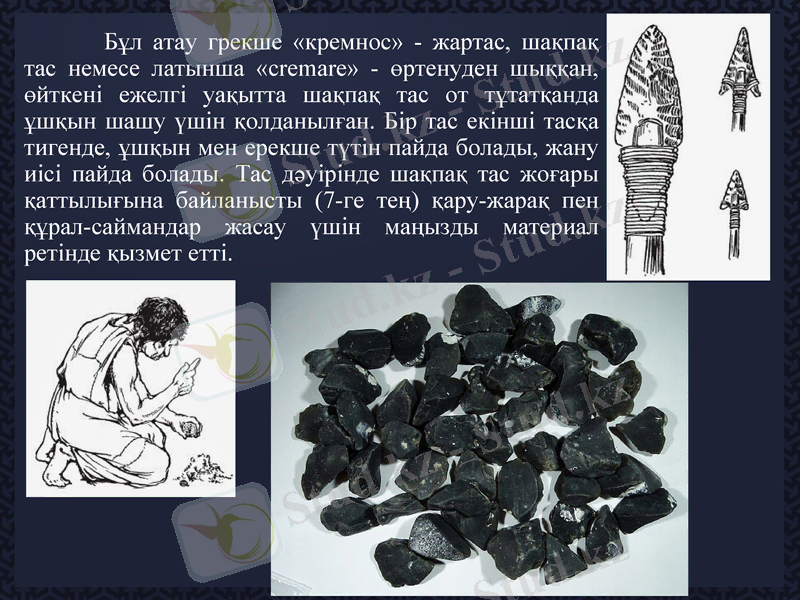 Slide 5