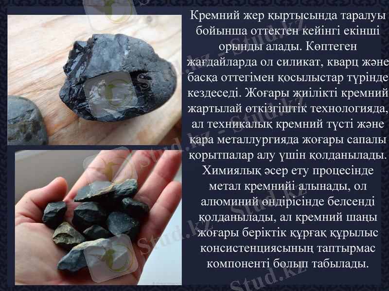 Slide 6
